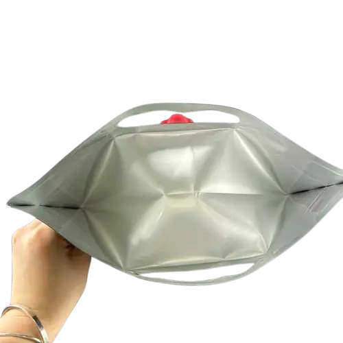 Stand Up Pouch Bag-in-Box (BIB)  for Apple Juice, Wine, Liquor &amp; More _4